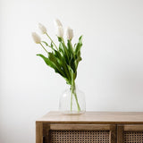White Tulip Bunch of six