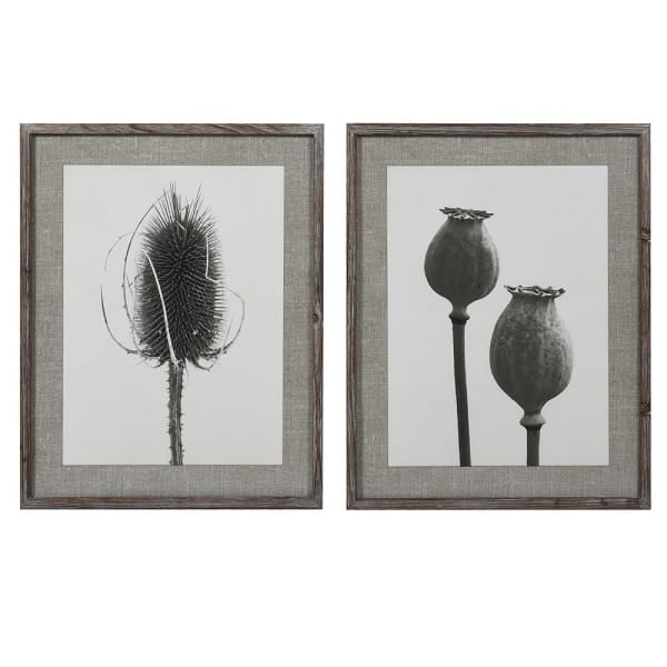 Poppy | Framed Prints | Set of Two