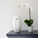 Faux orchid plant with white blooms in textured stone pot
