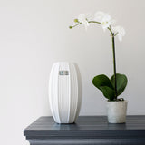Faux orchid plant with white blooms in textured stone pot